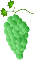 Colored Grapes - green