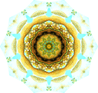 Filicinae 29