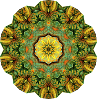 Filicinae 32