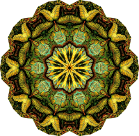 Filicinae 33