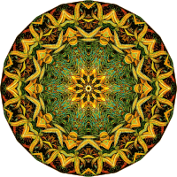 Filicinae 34