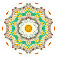 Copepoda 16