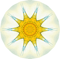 Copepoda 19
