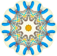 Copepoda 17