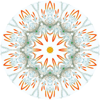 Copepoda 14
