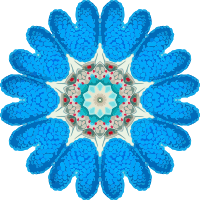 Copepoda 23