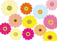 Multicolored Flowers