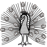 peacock - lineart