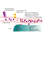 Diabetes and insulin resistance