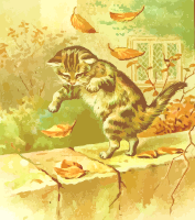 Playing cat