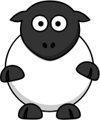 Silly Sheep