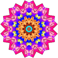 Gorgonida 4