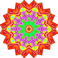 Gorgonida 8
