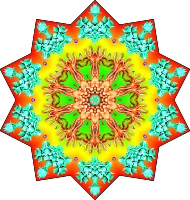 Gorgonida 13