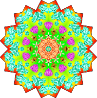 Gorgonida 14
