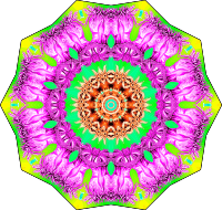 Gorgonida 15