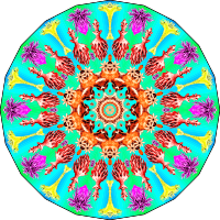 Gorgonida 16