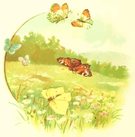 Butterflies 2