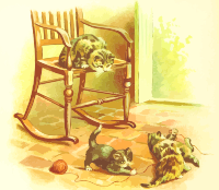 Cats