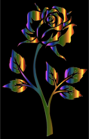 Chromatic Rose Silhouette