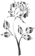 Stainless Steel Rose Silhouette No Background