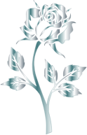 Silver Rose Silhouette No Background