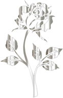 Polished Silver Rose Silhouette No Background