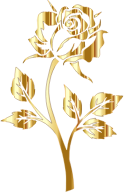 Gold Rose Silhouette No Background
