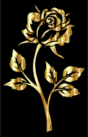 Golden Rose