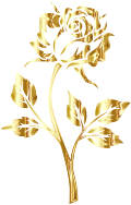 Golden Rose No Background