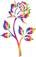 Rainbow Rose No Background