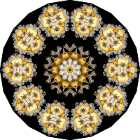 Echinidea 2