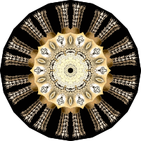Echinidea 6