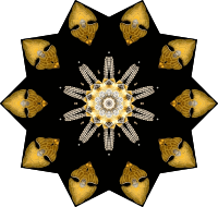 Echinidea 9