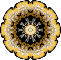 Echinidea 8