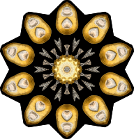 Echinidea 13
