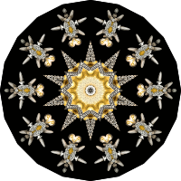 Echinidea 12