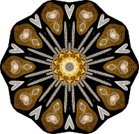 Echinidea 15