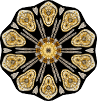Echinidea 17