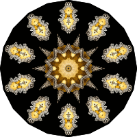 Echinidea 20