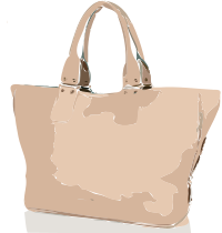 Tan Handbag No Logo