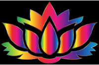 Rainbow Lotus Flower Silhouette