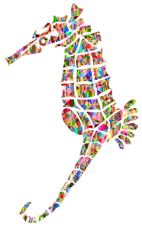 Polychromatic Stylized Seahorse Silhouette