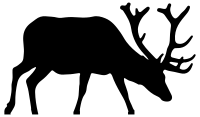 Elk Silhouette