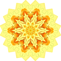 Gamochonia 7