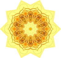 Gamochonia 8