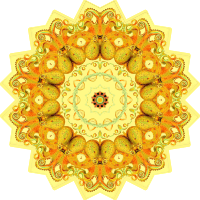 Gamochonia 13