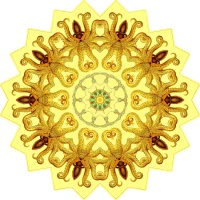Gamochonia 17