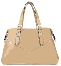Tan Leather Triangle Purse No Logo