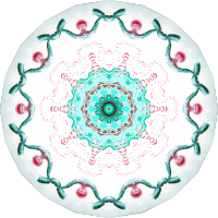 Siphonophorae 21